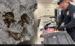 Human Bones Found at Tampa Airport
